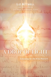 Image for Drop of Light Educating for the A-ha Moment Drop of Light Educating for the A-ha Moment