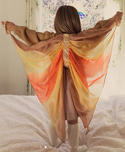 Fairy Wings Desert