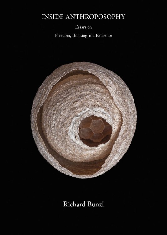 Image for Inside Anthroposophy Essays on Freedom, Thinking and Existence Inside Anthroposophy Essays on Freedom, Thinking and Existence
