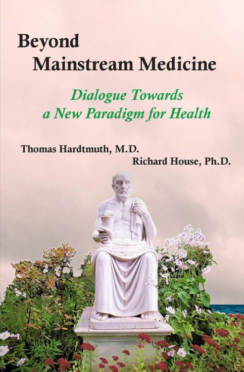 Image for Beyond Mainstream Medicine Dialogue towards a New Paradigm for Health Beyond Mainstream Medicine Dialogue towards a New Paradigm for Health
