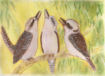 Kookaburras postcard - spring