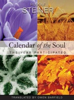 Image for Calendar of the Soul The Year Participated Calendar of the Soul The Year Participated