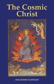 Image for Cosmic Christ Cosmic Christ