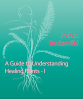 Guide to Understanding Healing Plants, A - Volume I
