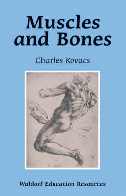 Muscles and Bones