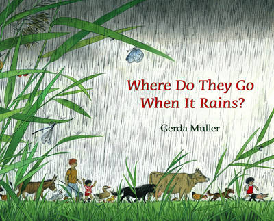 Image for Where Do They Go When it Rains Where Do They Go When it Rains