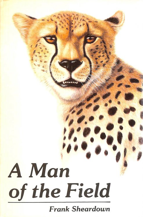 Man of the Field