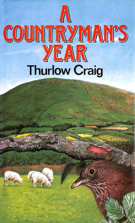 A Countryman's Year