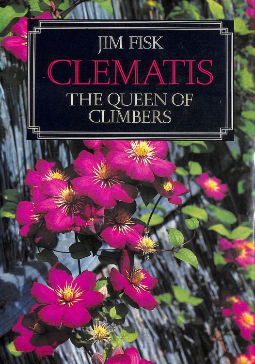 Clematis (Wisley)