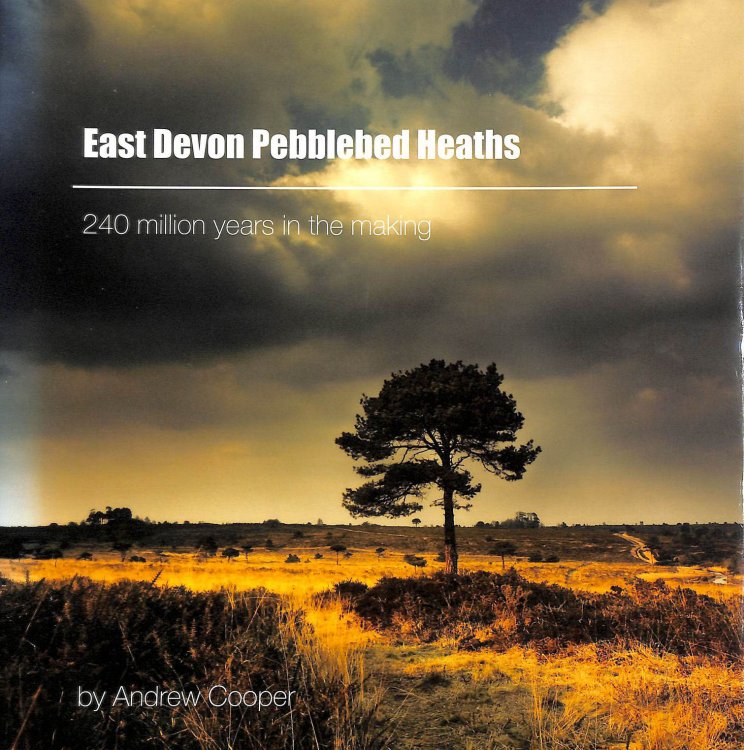 Image for East Devon Pebblebed Heaths: 240 Million Years in the Making East Devon Pebblebed Heaths: 240 Million Years in the Making