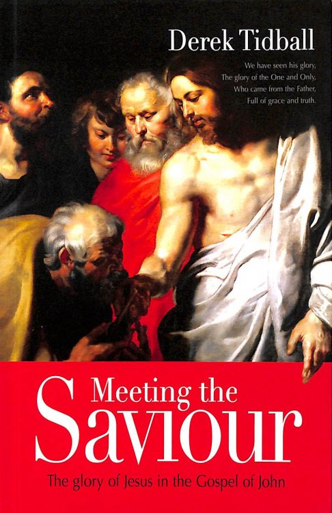 Image for Meeting the Saviour: The Glory of Jesus in the Gospel of John Meeting the Saviour: The Glory of Jesus in the Gospel of John