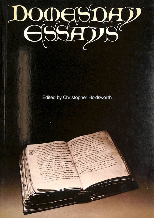 Image for Domesday Essays: No 14 Domesday Essays: No 14