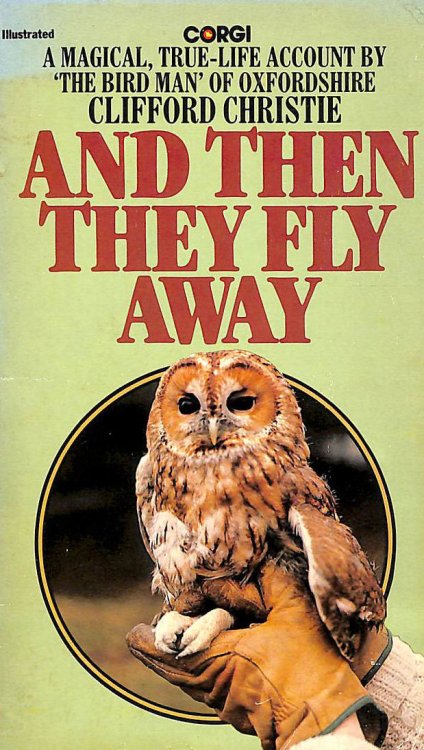 And Then They Fly Away