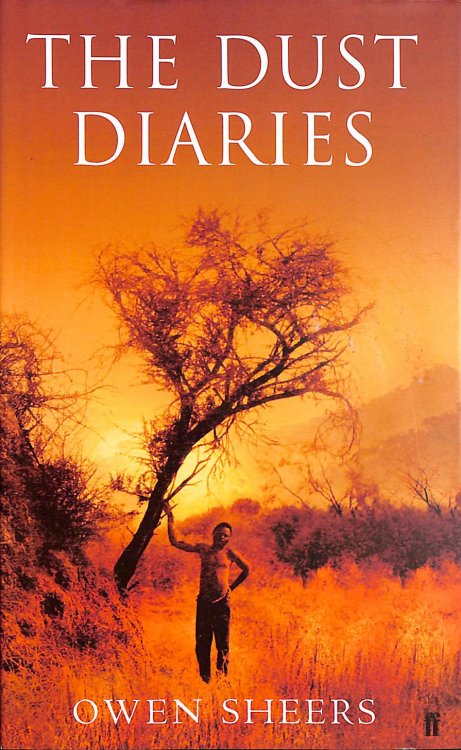 Image for Dust Diaries Dust Diaries