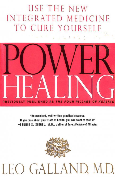 Power Healing: Use the New Integrated Medicine to Cure Yourself