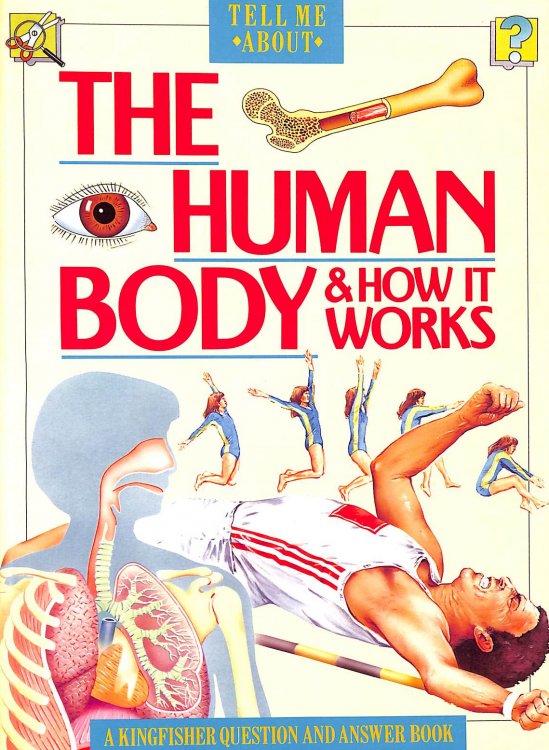 Image for The Human Body And How It Works : ( Tell Me About ) : The Human Body And How It Works : ( Tell Me About ) :