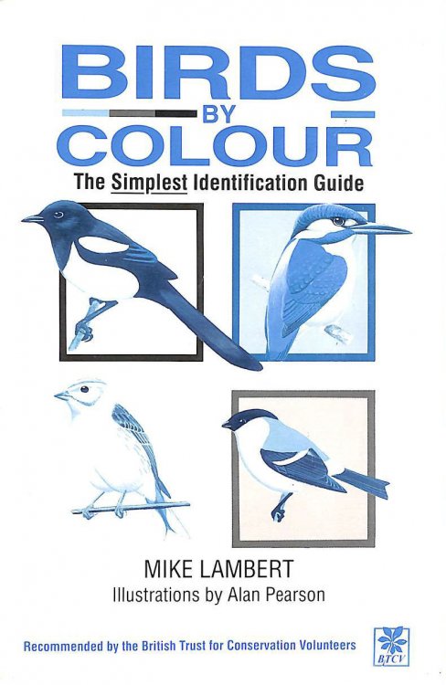 Image for Birds - by Colour: The Simplest Recognition Guide Birds - by Colour: The Simplest Recognition Guide
