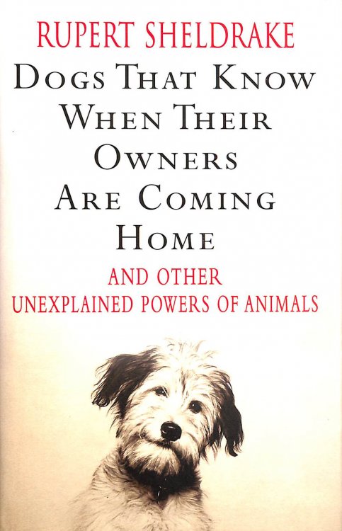 Dogs That Know When Their Owners are Coming Home: And Other Unexplained Powers of Animals