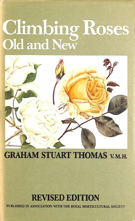 Climbing Roses Old and New