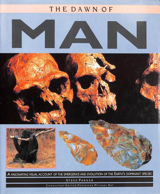 Dawn of Man