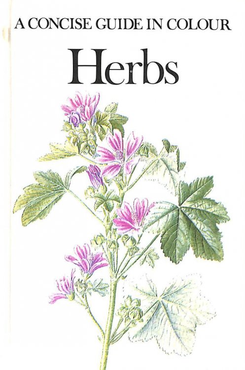 Image for Herbs - A Concise Guide In Colour Herbs - A Concise Guide In Colour