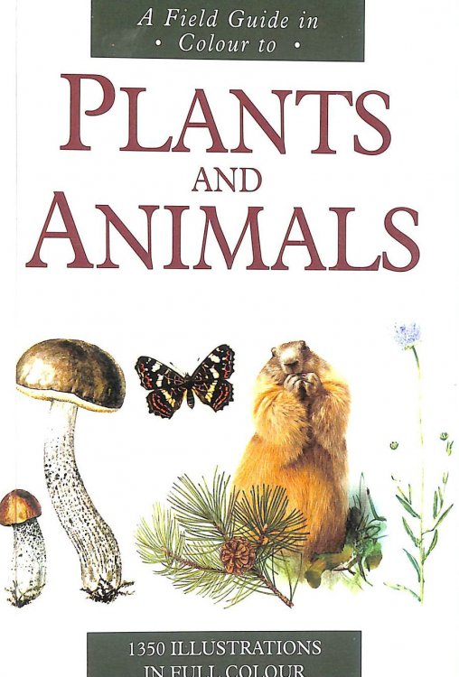 Image for A Field Guide In Colour To Plants And Animals A Field Guide In Colour To Plants And Animals