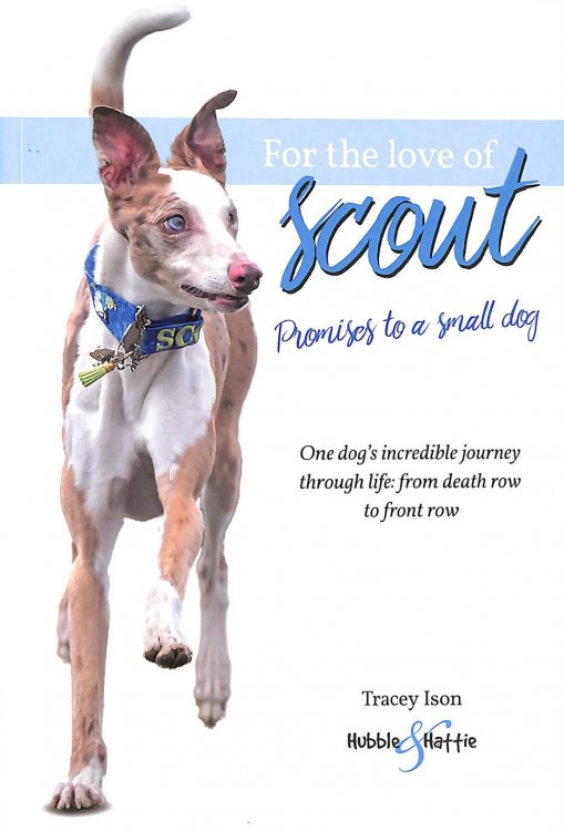 For the Love of Scout: Promises to a small dog