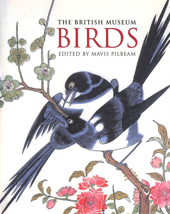 Image for Birds: The British Museum Birds: The British Museum