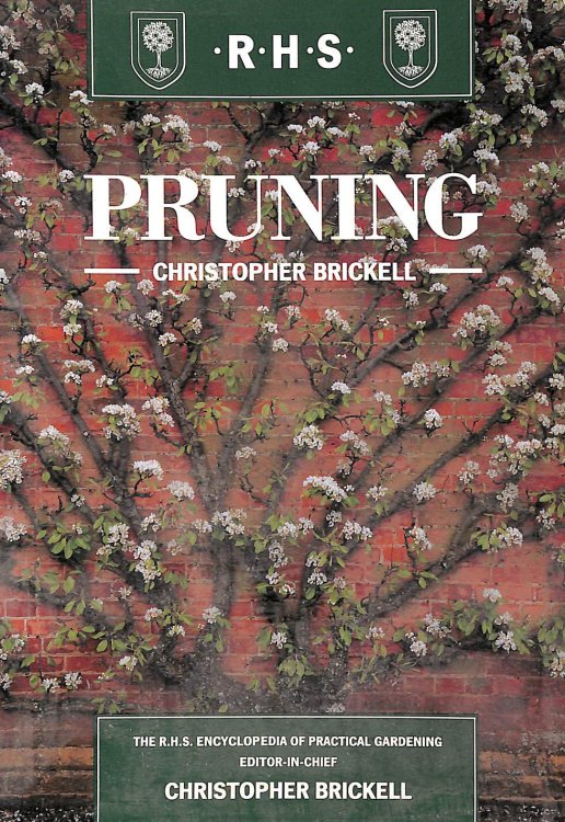 Pruning