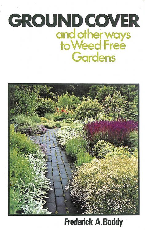 Ground Cover and Other Ways to Weed-free Gardens