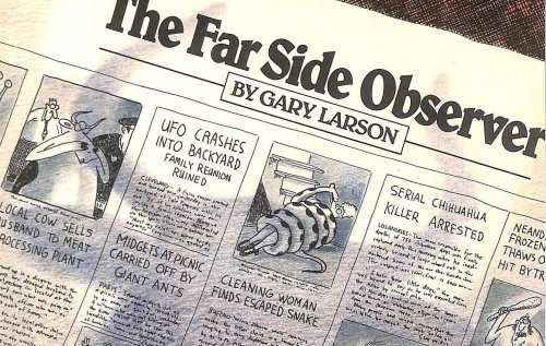 Far Side Observer