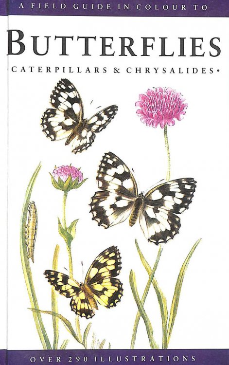 A Field Guide in Colour to Butterflies, Caterpillars and Chrysalides