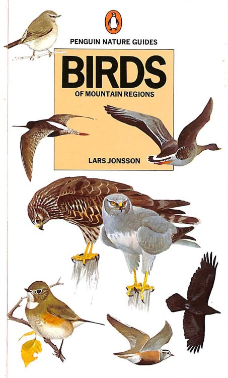 Birds of Mountain Regions
