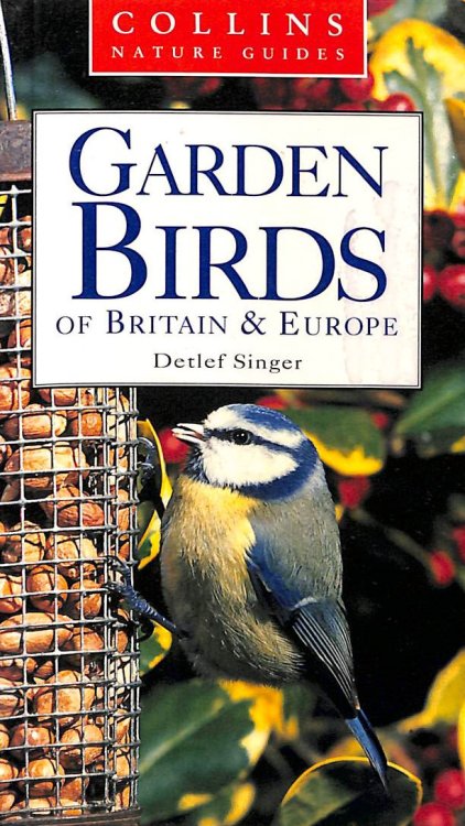 Garden Birds of Britain and Europe