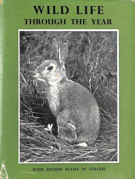Wild Life Through The Year