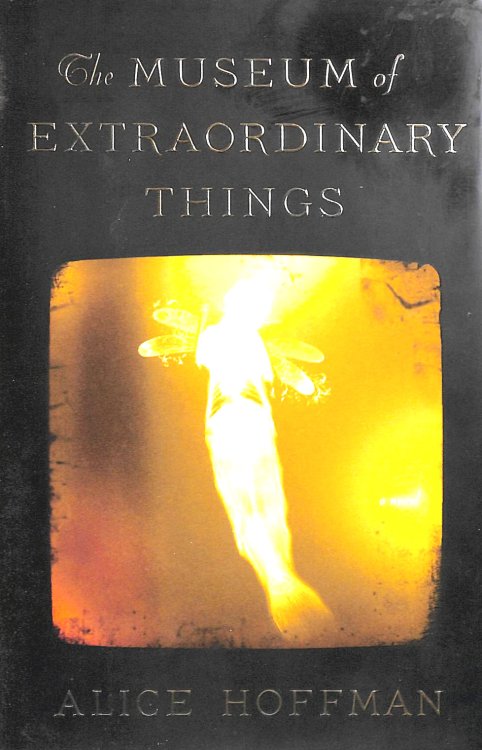 Image for The Museum of Extraordinary Things The Museum of Extraordinary Things