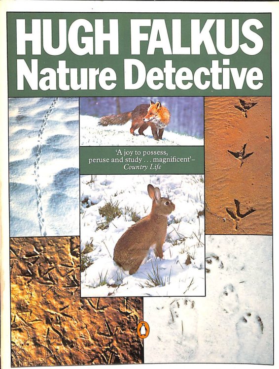 Image for Nature Detective Nature Detective