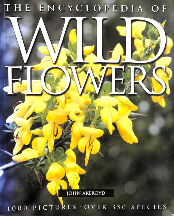 Wild Flowers