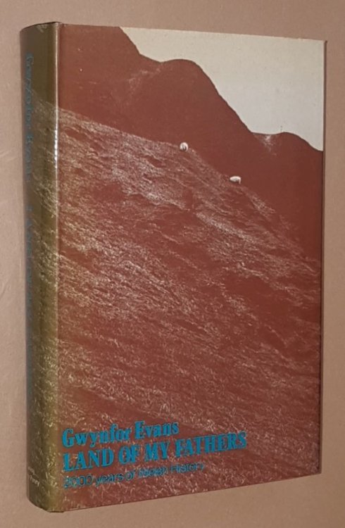 Image for Land of My Fathers: 2000 Years of Welsh History Land of My Fathers: 2000 Years of Welsh History