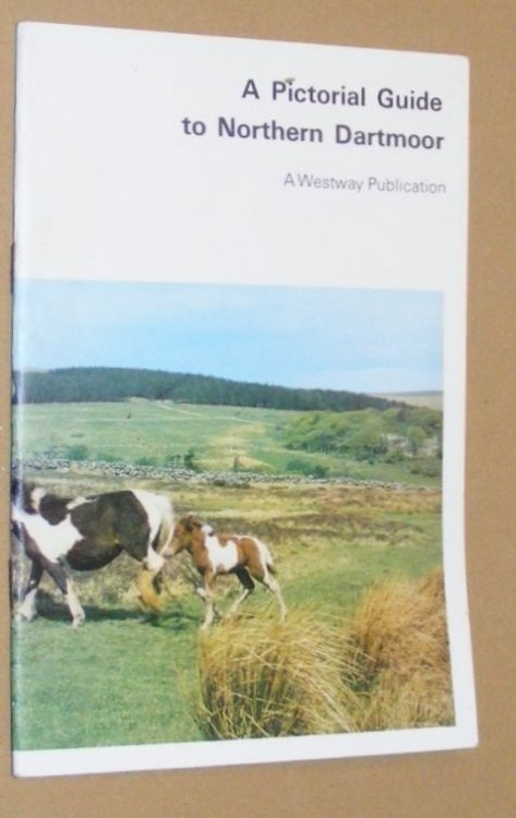 Image for A Pictorial Guide to Northern Dartmoor A Pictorial Guide to Northern Dartmoor