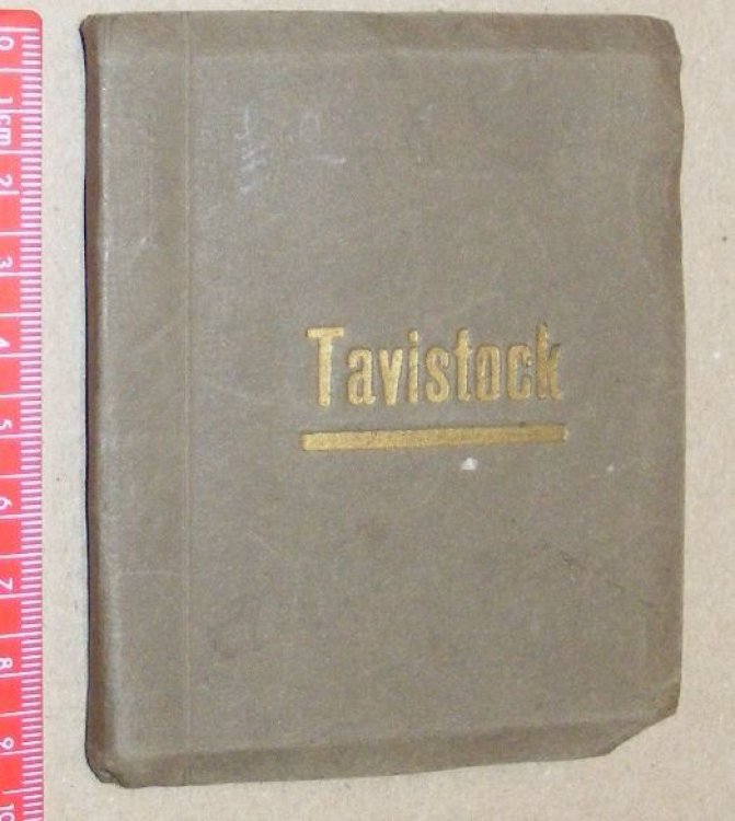 Tavistock