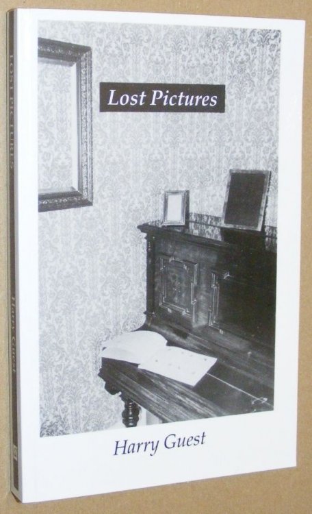 Lost Pictures: a novel