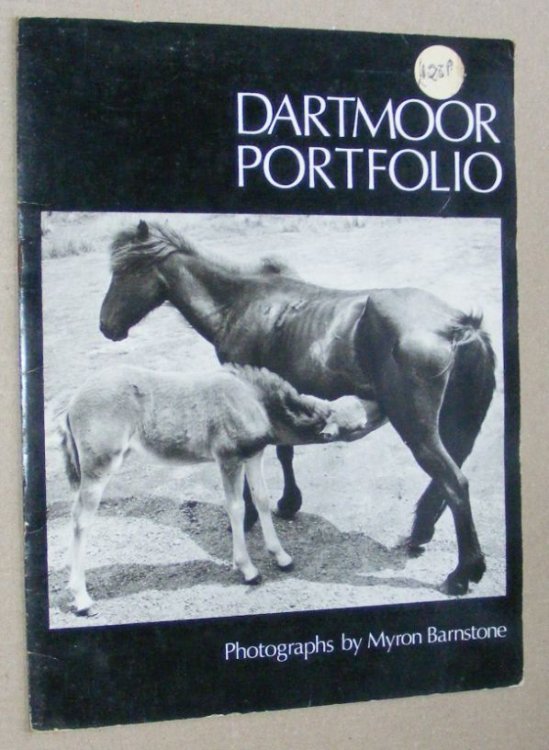 Dartmoor Portfolio