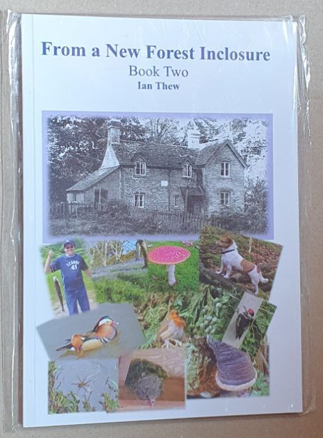 Image for From a New Forest Inclosure : Book Two From a New Forest Inclosure : Book Two