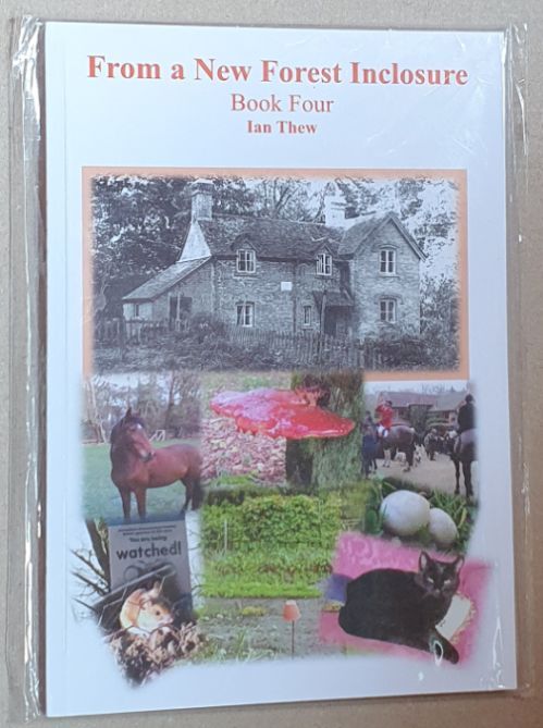 Image for From a New Forest Inclosure : Book Four From a New Forest Inclosure : Book Four
