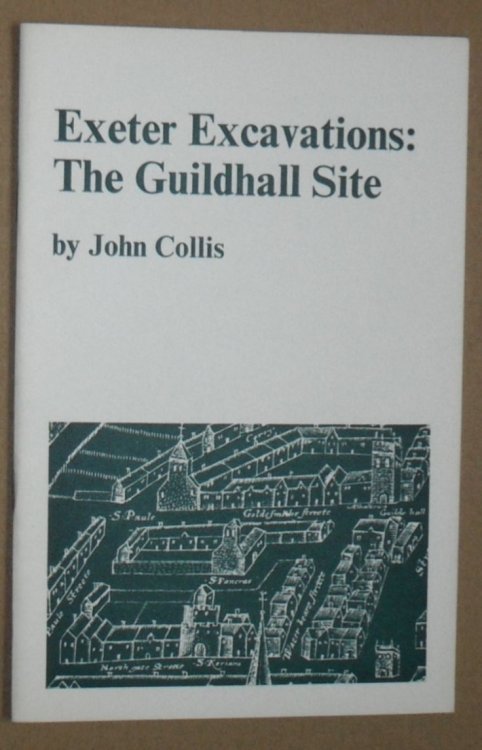 Image for Exeter Excavations : the Guildhall Site Exeter Excavations : the Guildhall Site