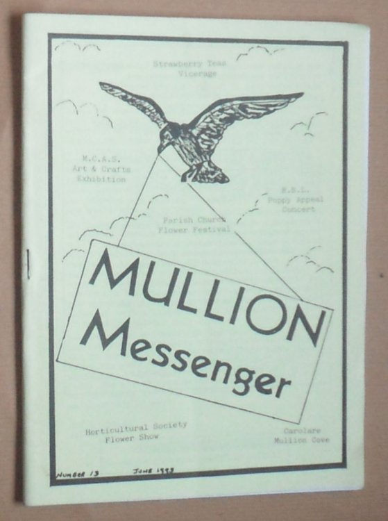 Image for Mullion Messenger Number 13, June 1993 Mullion Messenger Number 13, June 1993