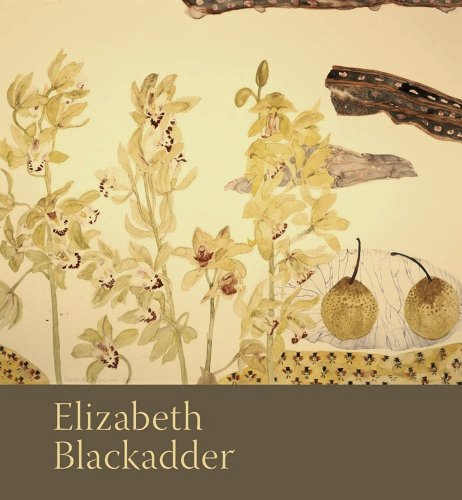 Image for Elizabeth Blackadder Elizabeth Blackadder