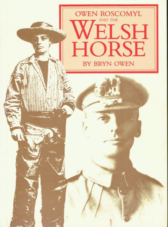 Image for OWEN ROSCOMYL AND THE WELSH HORSE OWEN ROSCOMYL AND THE WELSH HORSE