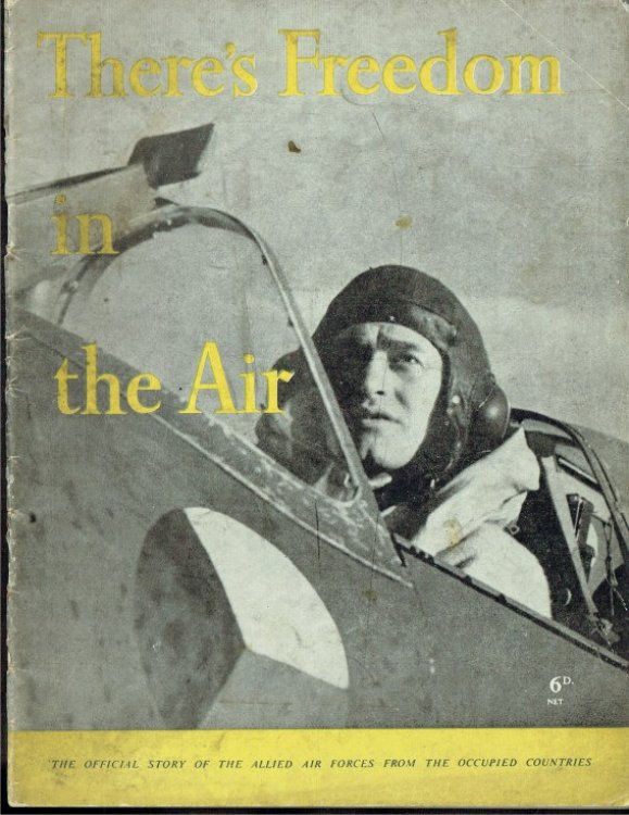 Image for THERE'S FREEDOM IN THE AIR : THE OFFICIAL STORY OF THE ALLIED AIR FORCES FROM THE OCCUPIED COUNTRIES THERE'S FREEDOM IN THE AIR : THE OFFICIAL STORY OF THE ALLIED AIR FORCES FROM THE OCCUPIED COUNTRIES